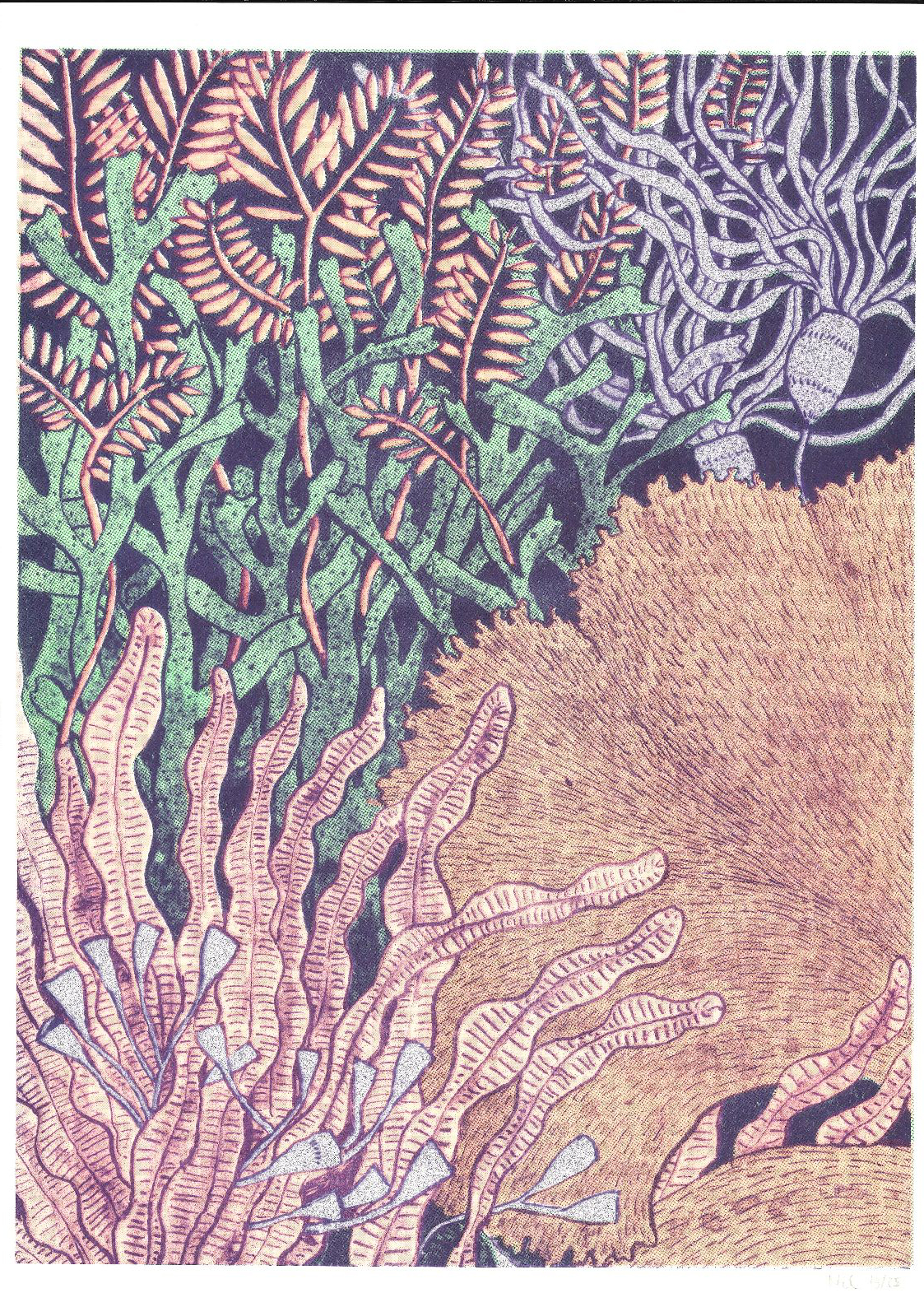 Image One