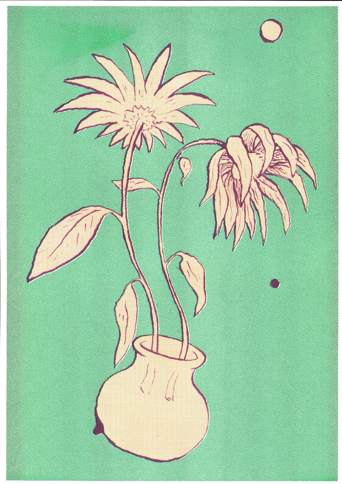 Image One